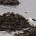 20211226-0027-_MG_3150