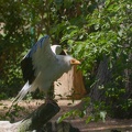 Bourbansais 07